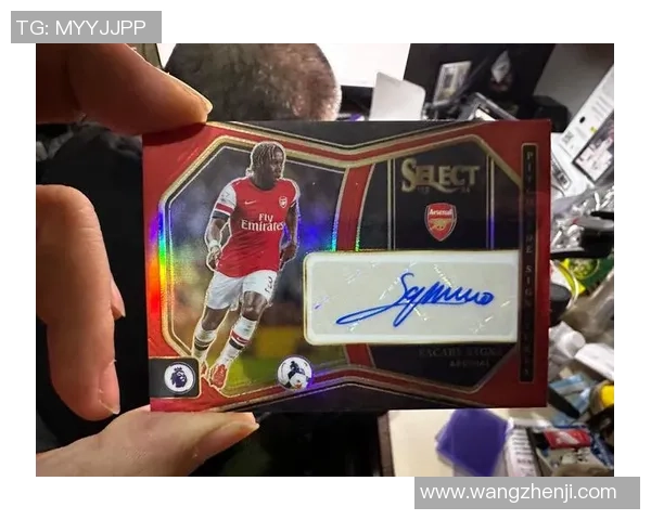 帕尼尼足球罗本球星卡收藏价值分析与市场趋势探讨 帕尼尼足球罗本球星卡收藏价值分析与市场趋势探讨