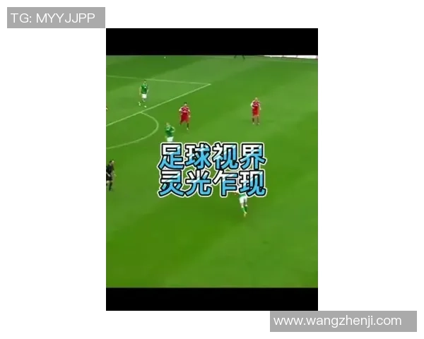 足球球星卡收藏之魅力探索与投资价值分析