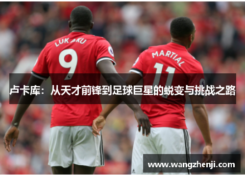 卢卡库：从天才前锋到足球巨星的蜕变与挑战之路
